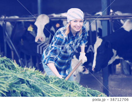 Young cowgirl collecting grass for cows 38712706