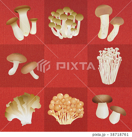 キノコいろいろ_レッド 38718761