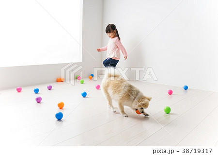 犬と一緒に遊ぶ子ども 犬と一緒に遊ぶ子ども 38719317