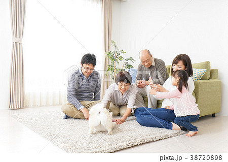 家族で犬と遊ぶ幸せな三世代ファミリー 家族で犬と遊ぶ幸せな三世代ファミリー 38720898
