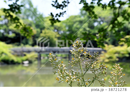 拾翠亭 拾翠亭 38721278