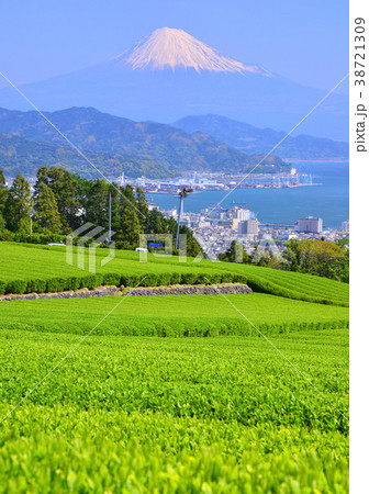 日本平からの春の風景-8976 38721309