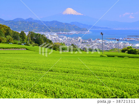 日本平からの春の風景-8979 38721311