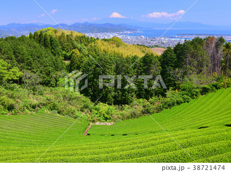 日本平からの春の風景-8984 日本平からの春の風景-8984 38721474