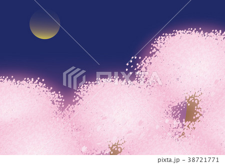 夜桜 38721771