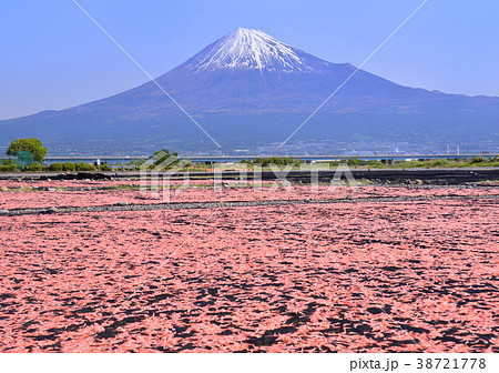 富士川河川敷からの春の風景-9279 38721778