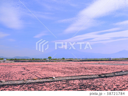 富士川河川敷からの春の風景-9296 38721784