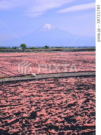 富士川河川敷からの春の風景-9301 38721785