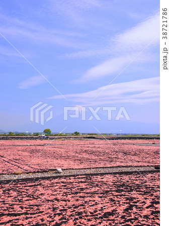 富士川河川敷からの春の風景-9304 38721786