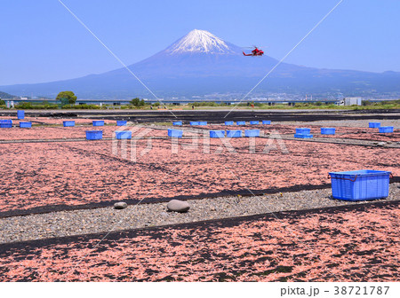 富士川河川敷からの春の風景-9308 38721787