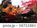 平林寺の紅葉（2） 38722861