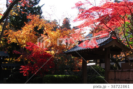 平林寺の紅葉（2） 38722861
