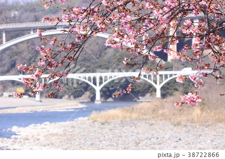 相模川散策路（2） 38722866