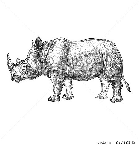 Zoo African Fauna Rhinoceros Rhinoceros Handのイラスト素材
