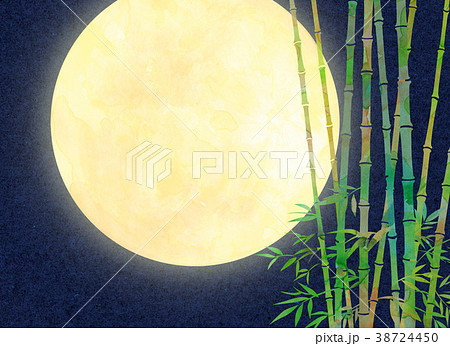 水彩イラスト 月 竹林のイラスト素材