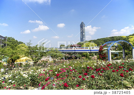 春の東山動植物園 38725405