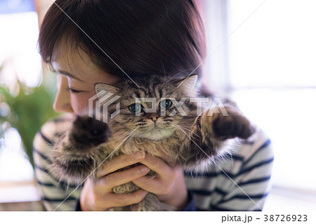 猫 アニマルセラピー ペルシャ 猫 アニマルセラピー ペルシャ 38726923