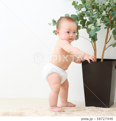 赤ちゃん つかまり立ちの写真素材