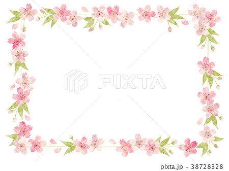 桜_角枠 桜_角枠 38728328