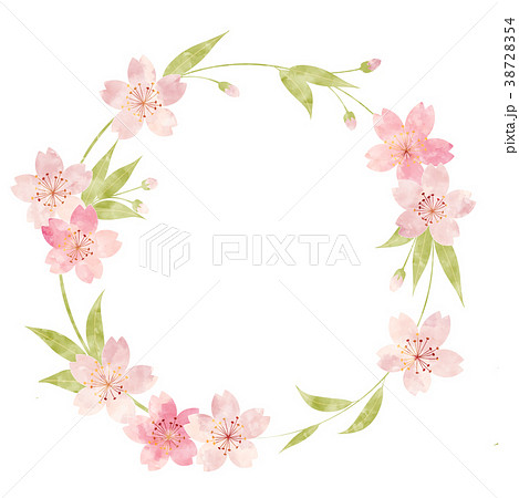 桜 丸枠のイラスト素材
