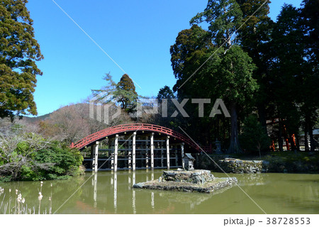 早春の天野大社太鼓橋 38728553