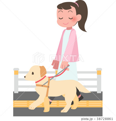 盲導犬と歩く女性のイラスト素材