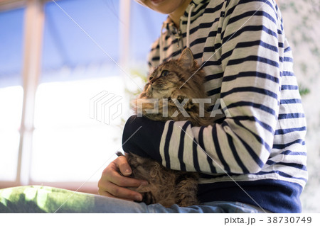 猫　アニマルセラピー　ペルシャ 38730749