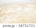 塩まみれの死海の砂浜 38731721