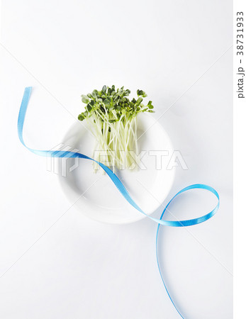 リボン 皿 野菜 38731933