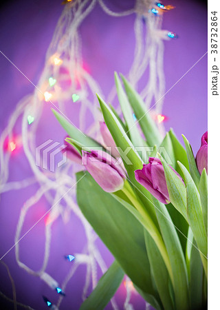 Tulips over ultra violet background Tulips over ultra violet background 38732864