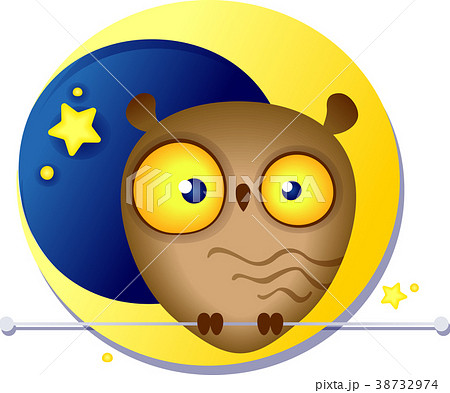 cute funny owl on the background of the moon 38732974