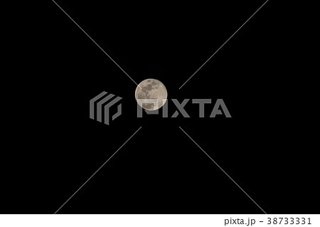 月 ◯**MOON **◯ 月 ◯**MOON **◯ 38733331