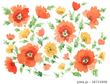 Poppys106pix8のイラスト素材