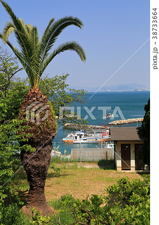 高見島浦集落 38733664