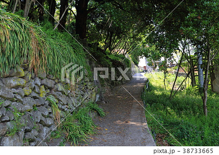 高見島浦集落 38733665