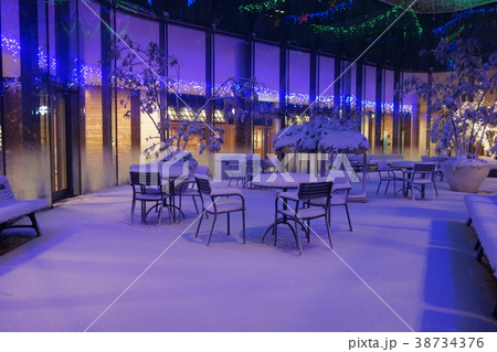 大雪の日の大崎駅近くの商業ビルのパティオ 大雪の日の大崎駅近くの商業ビルのパティオ 38734376