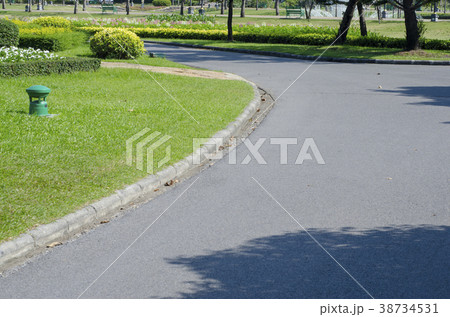 Walkway in the park Walkway in the park 38734531