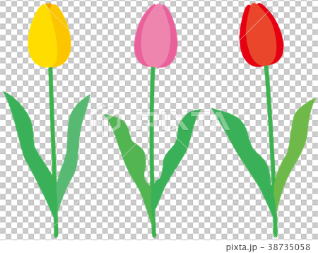 花thuriap 3顏色黃色粉紅色紅色 38735058