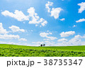 【北海道】自然イメージ 38735347