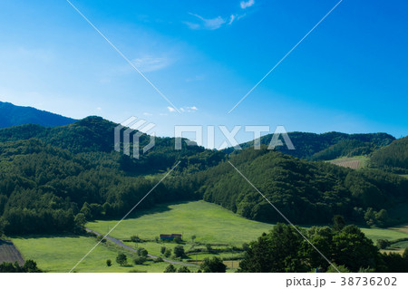 丘の風景 南富良野 丘の風景 南富良野 38736202