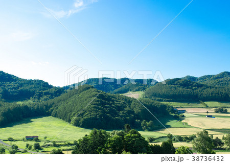 丘の風景 南富良野 丘の風景 南富良野 38736432
