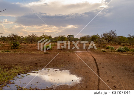 Sunset on the hills and a bed of palm trees  38737844