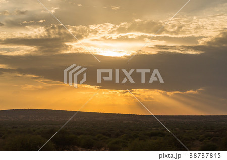 Sunset on the hills and a bed of palm trees 38737845