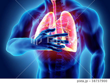 3d illustration of Lungs and chest painful. 38737900