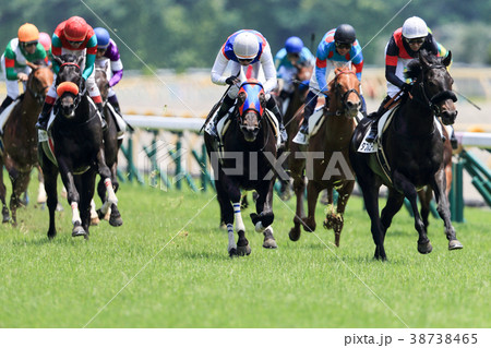 競馬のゴール 38738465