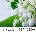Green-muguet bouquet  Close-up 38740800