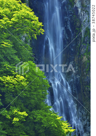 志賀高原　澗満滝 38745022