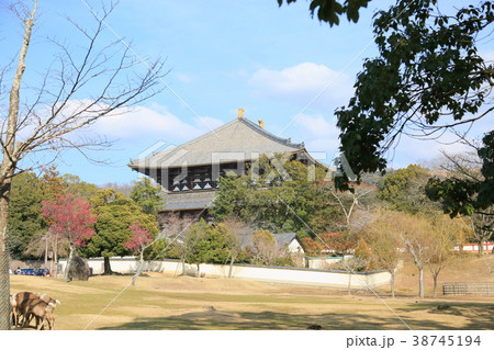 東大寺大仏殿 東大寺大仏殿 38745194