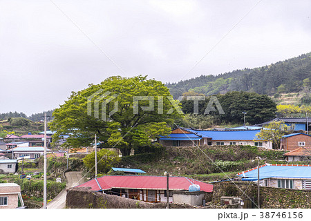 韓国 風景 島 38746156