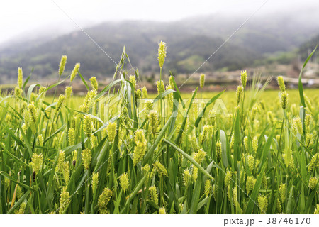 韓国 風景 観光地 38746170